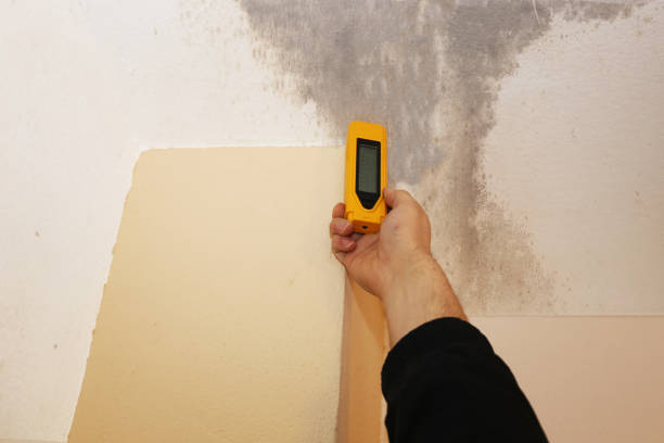 Best Industrial Mold Remediation  in Winterville, NC