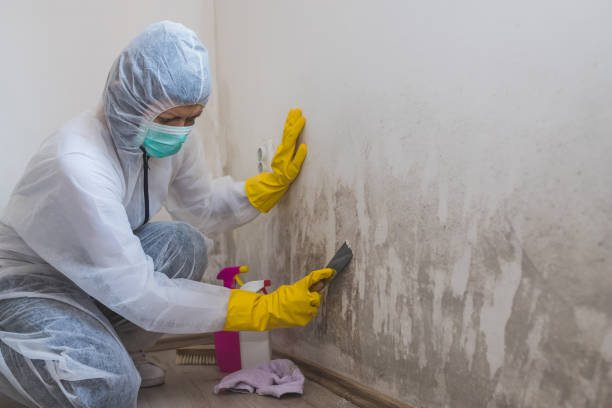 Best Post-Remediation Verification Testing  in Winterville, NC
