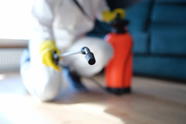 Asbestos and Lead Testing During Mold Inspection in Winterville, NC